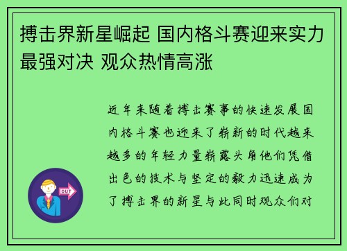 搏击界新星崛起 国内格斗赛迎来实力最强对决 观众热情高涨