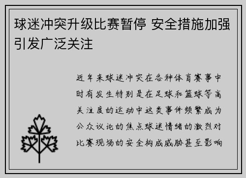 球迷冲突升级比赛暂停 安全措施加强引发广泛关注