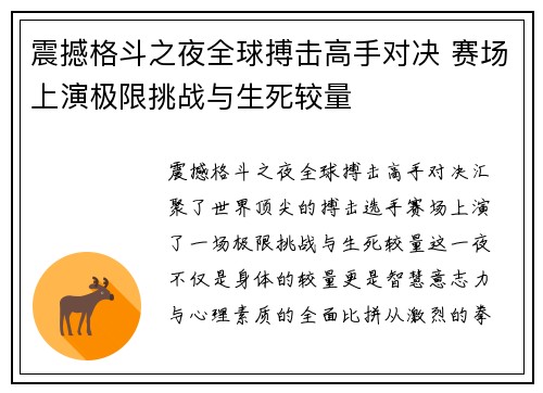 震撼格斗之夜全球搏击高手对决 赛场上演极限挑战与生死较量